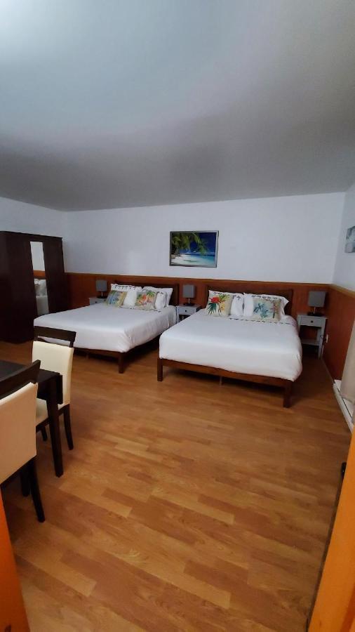 Hotel Fleurs Karaibes Saint-Alexandre-de-Kamouraska 外观 照片