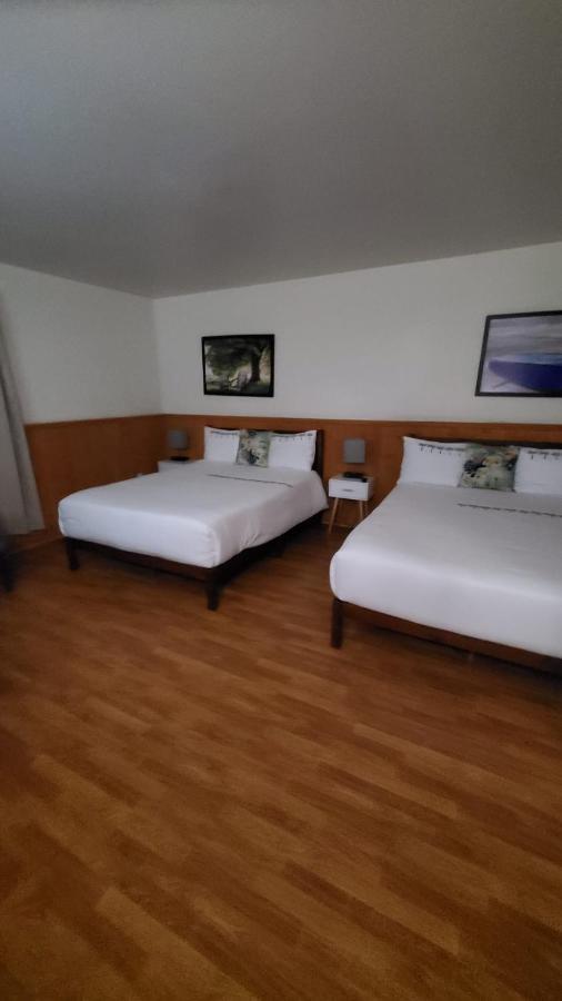Hotel Fleurs Karaibes Saint-Alexandre-de-Kamouraska 外观 照片
