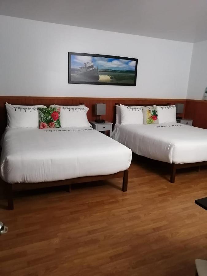 Hotel Fleurs Karaibes Saint-Alexandre-de-Kamouraska 外观 照片