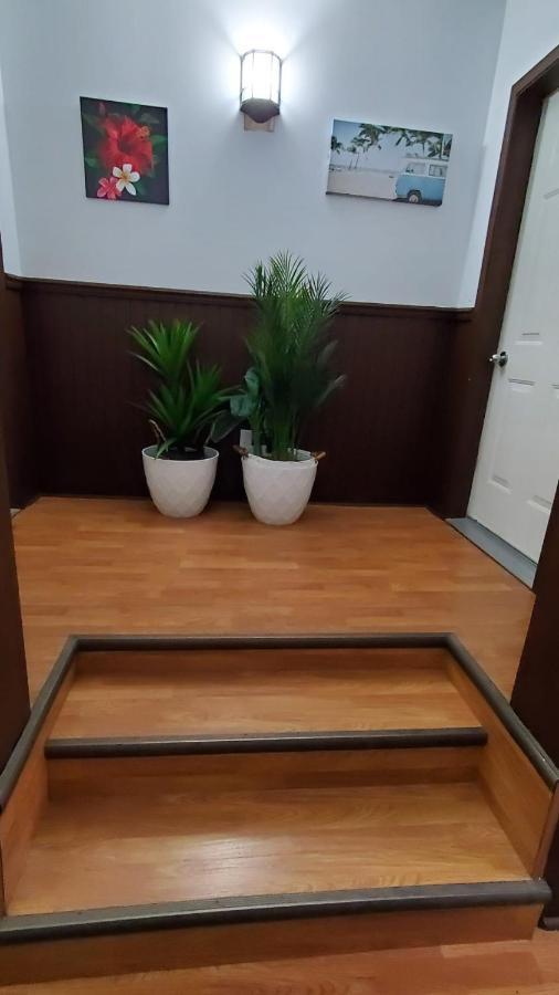 Hotel Fleurs Karaibes Saint-Alexandre-de-Kamouraska 外观 照片